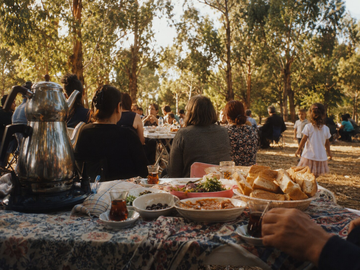 A Turkish-Australian family picnic under eucalyptus trees with tea and picnic food